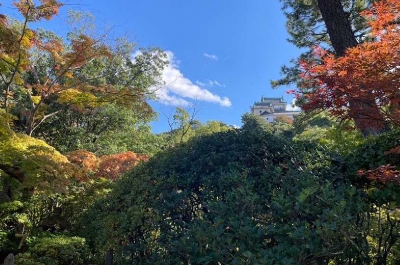 画像2