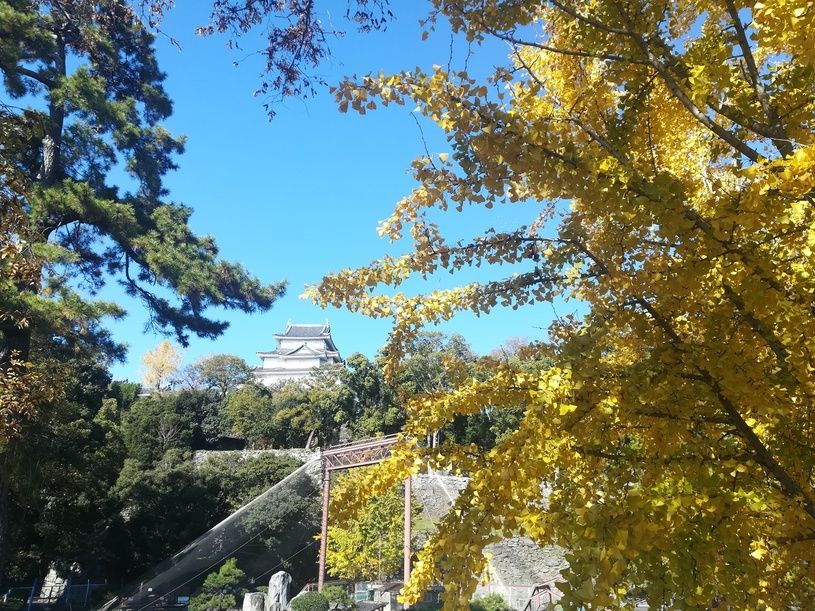 画像1