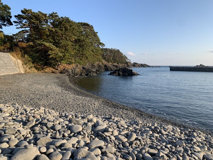 画像1