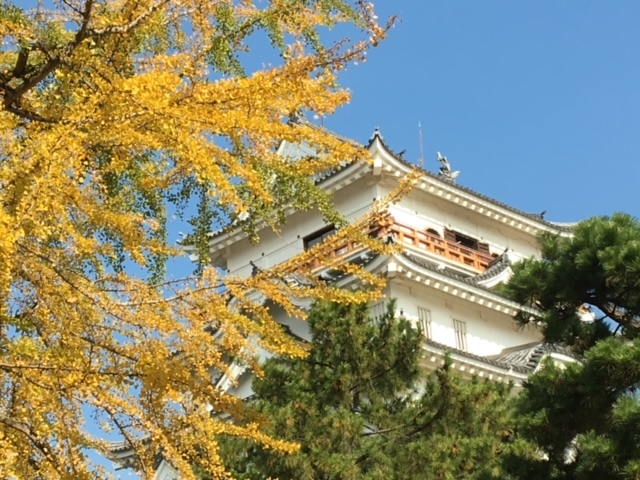 画像1