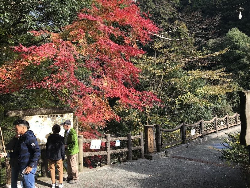 画像5