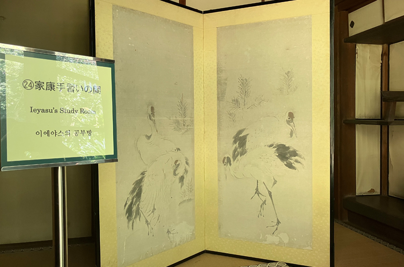 画像5