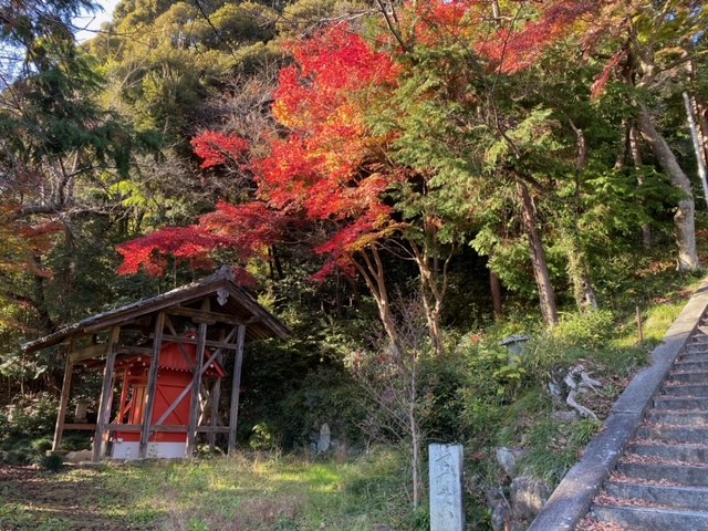 画像2