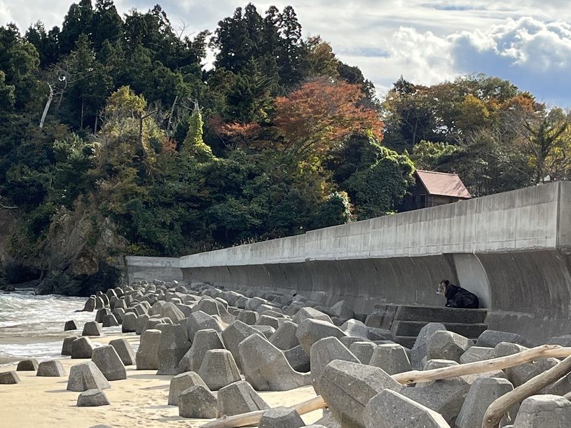 画像3