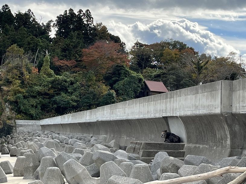 画像4