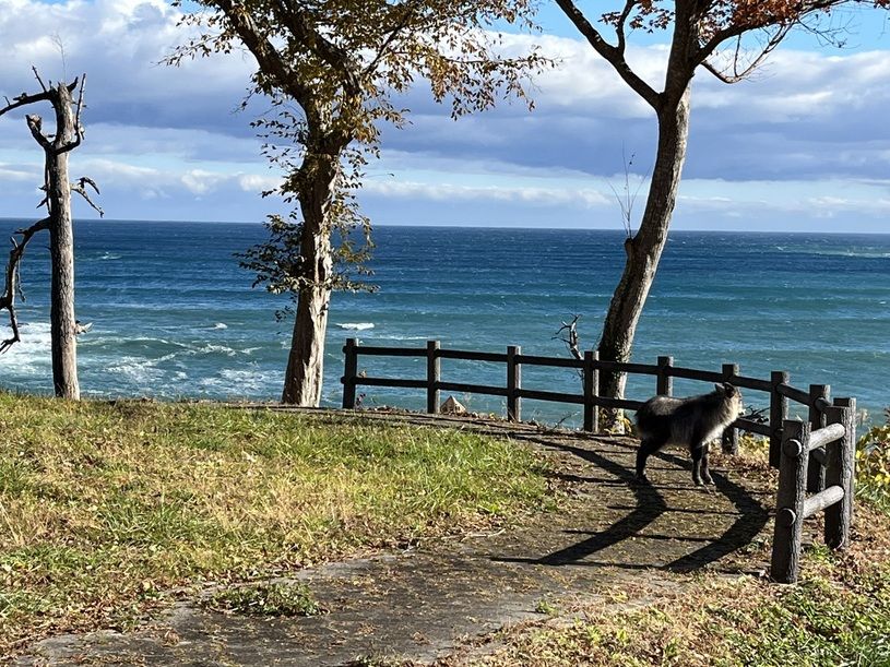 画像5