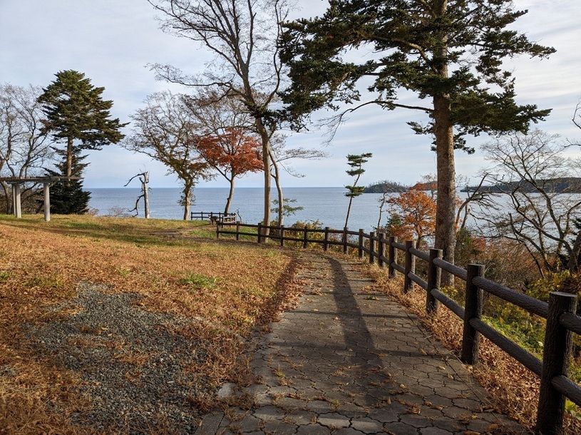 画像5