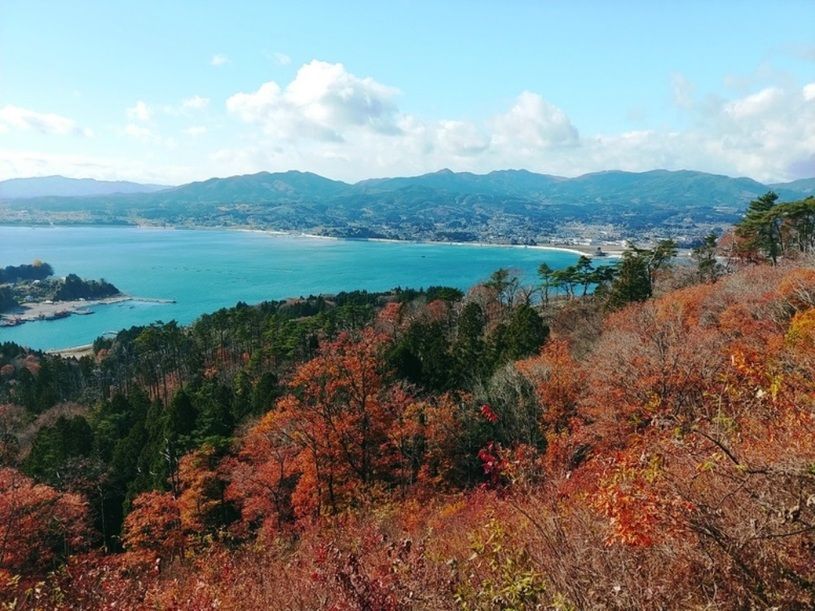 画像1