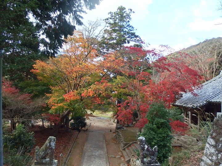画像4