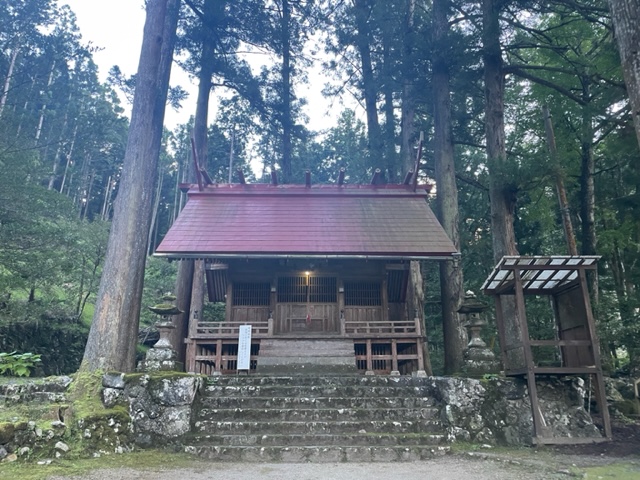 画像4