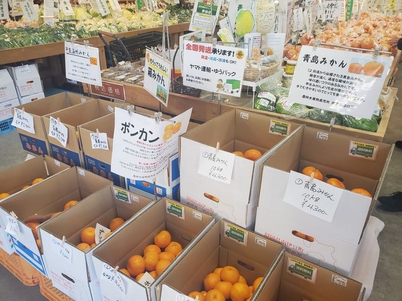 画像2