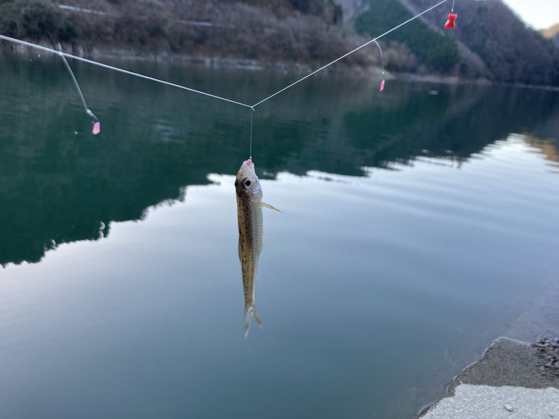 画像1