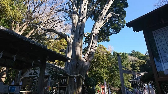 画像1