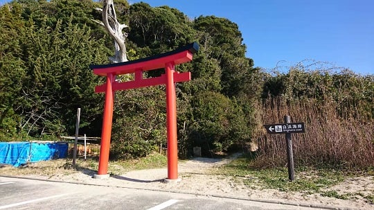 画像2
