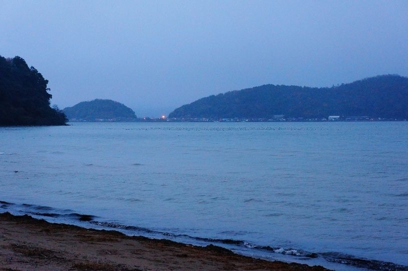 画像4