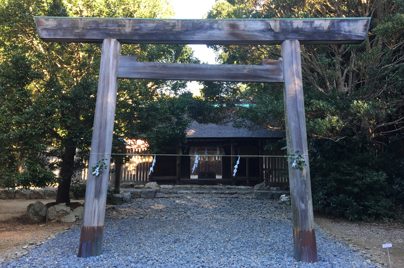 画像3