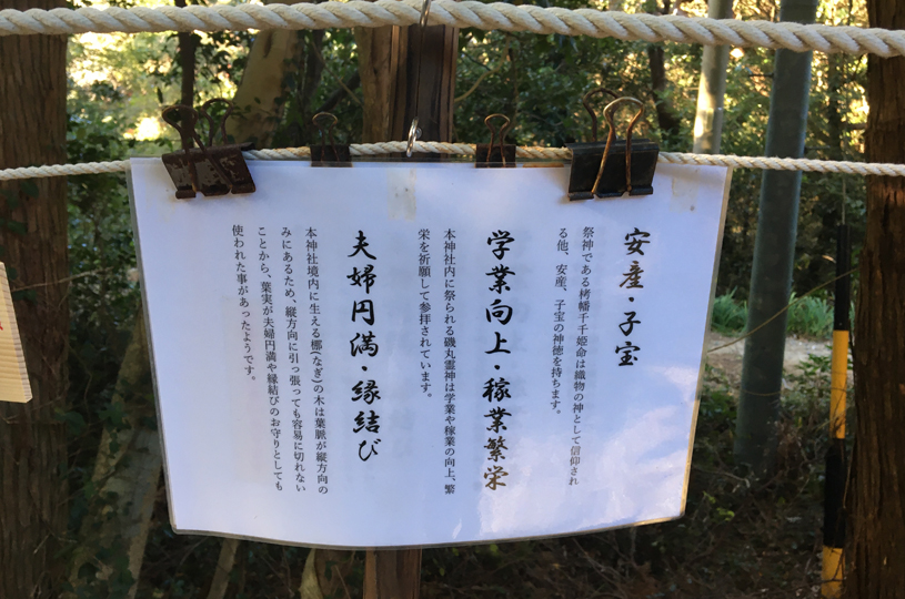 画像5
