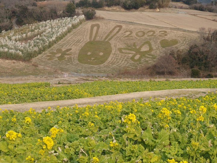 画像2
