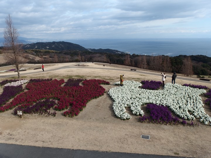 画像4