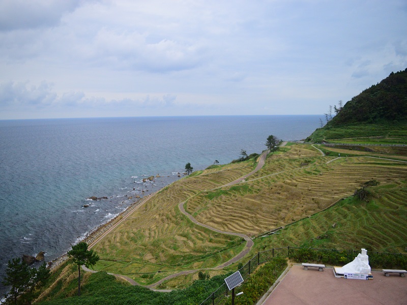 画像4