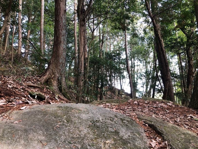 画像3