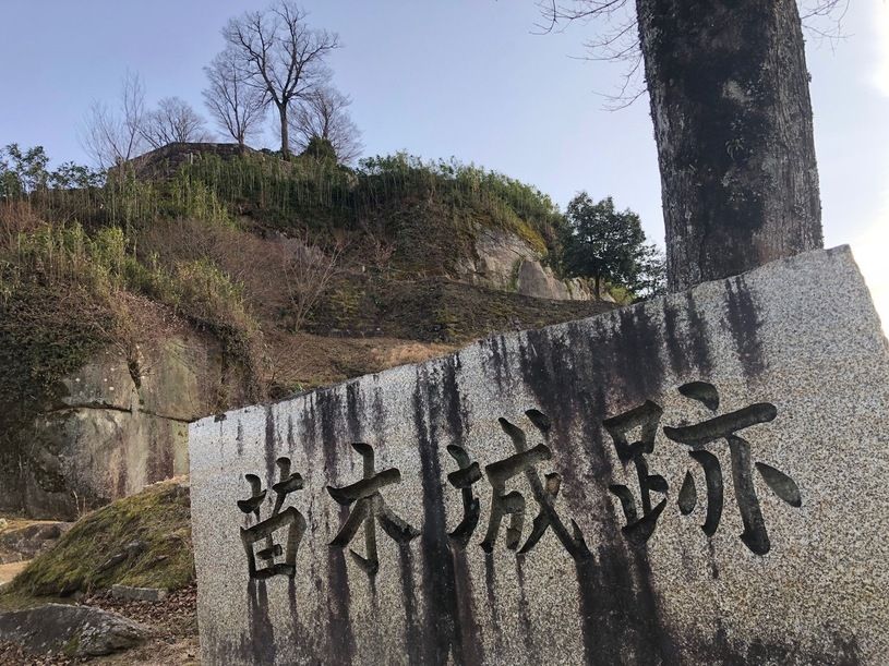 画像1