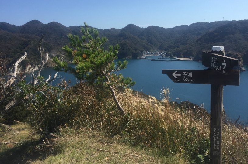 画像2