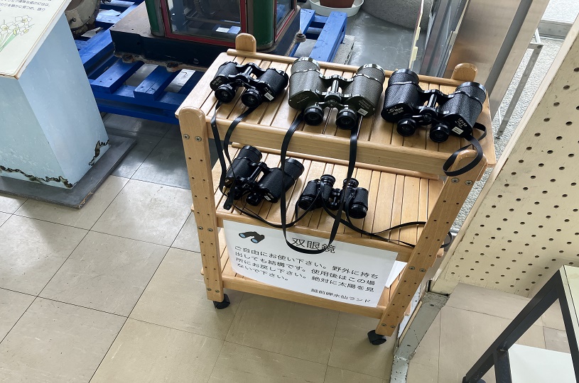 画像5