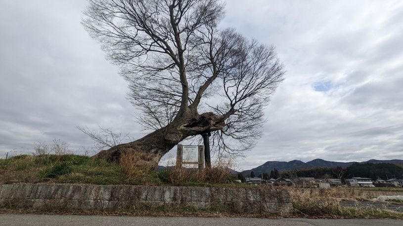 画像2