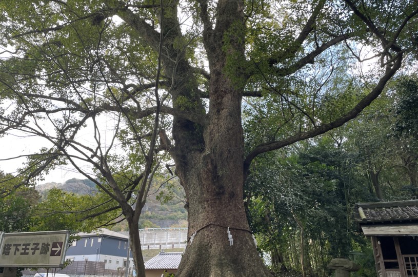 画像2