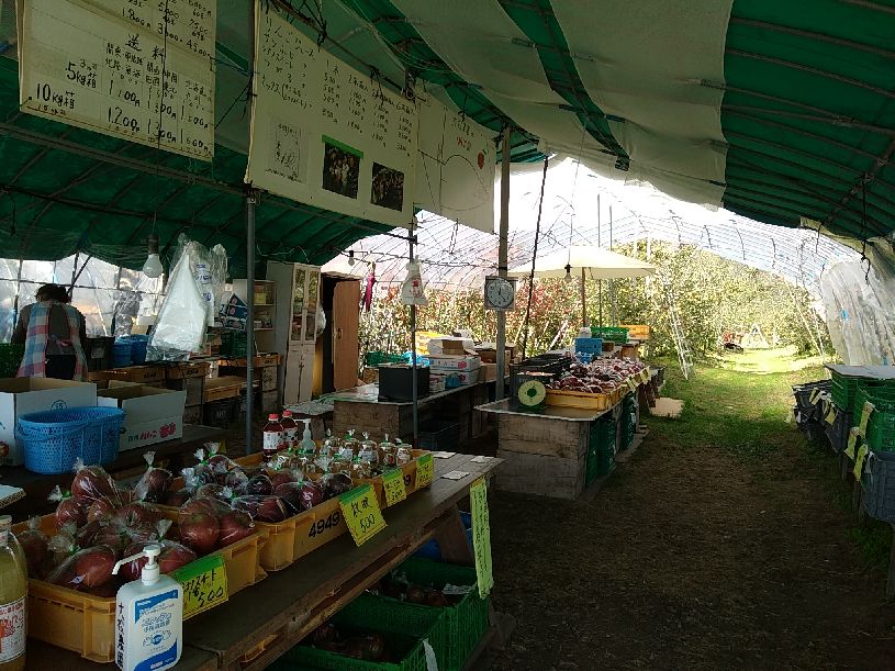画像4