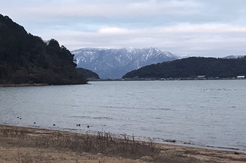 画像1