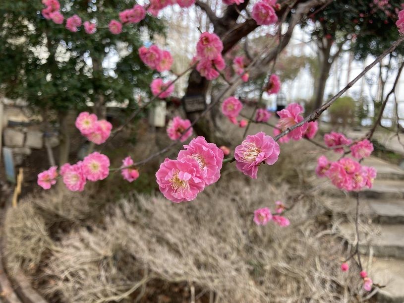 画像2