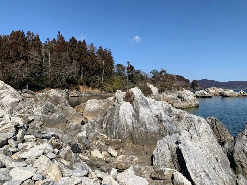 画像2