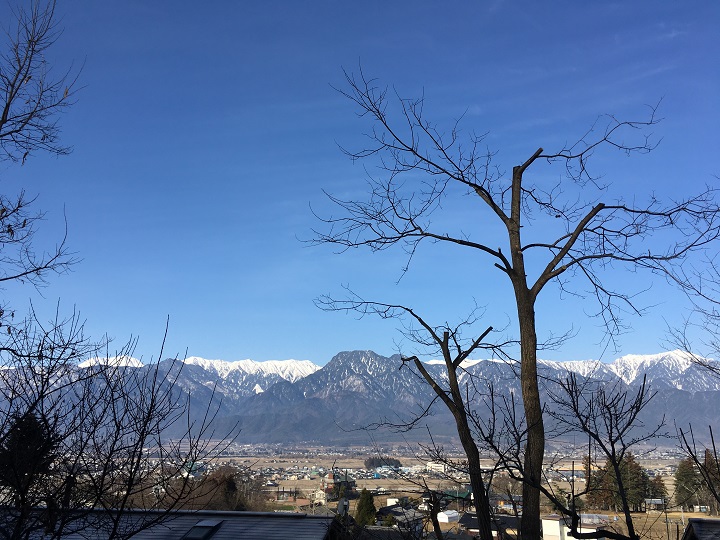 画像1