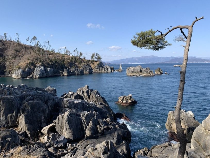 画像1