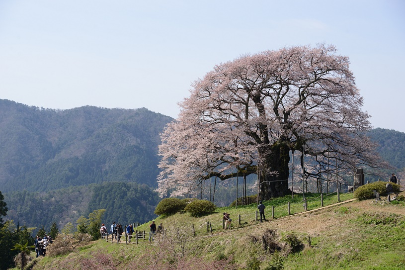 画像2