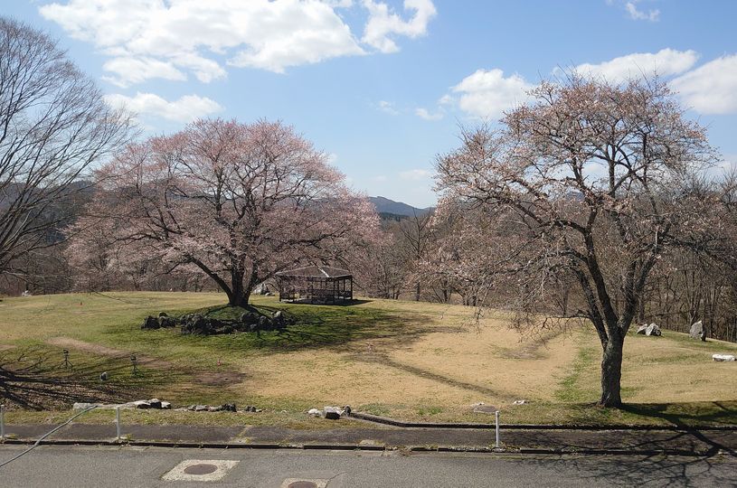 画像3