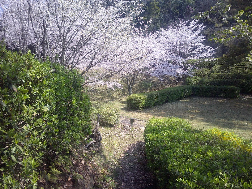 画像2