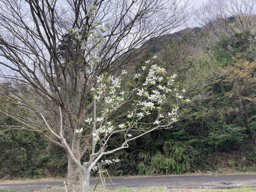 画像4