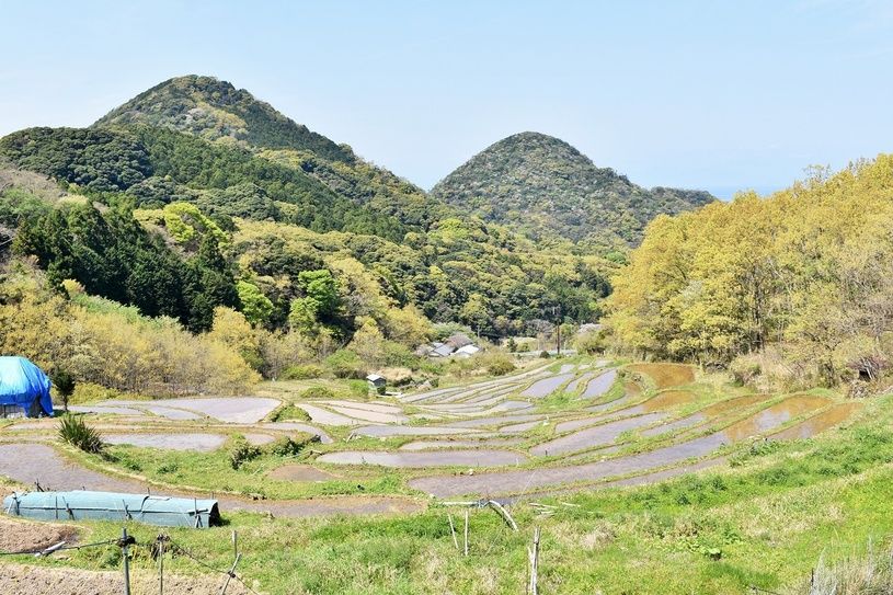 画像3