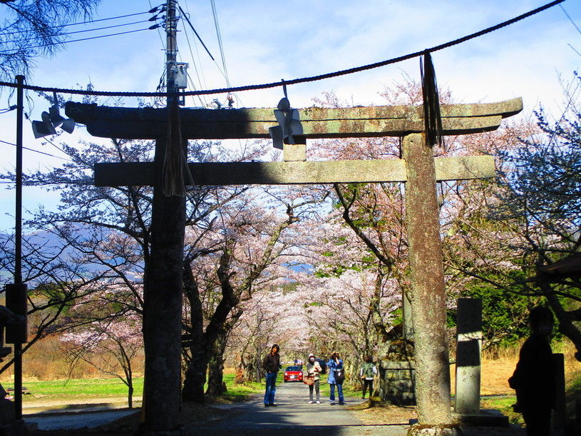 画像5