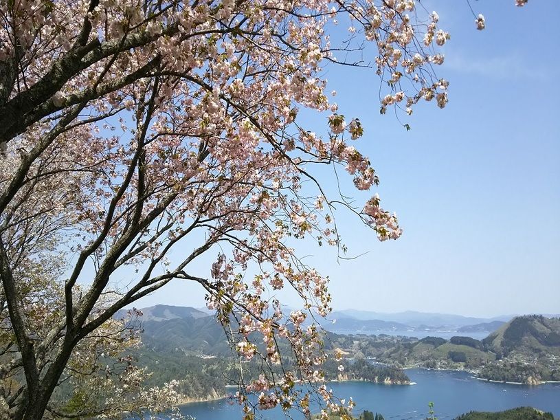 画像2