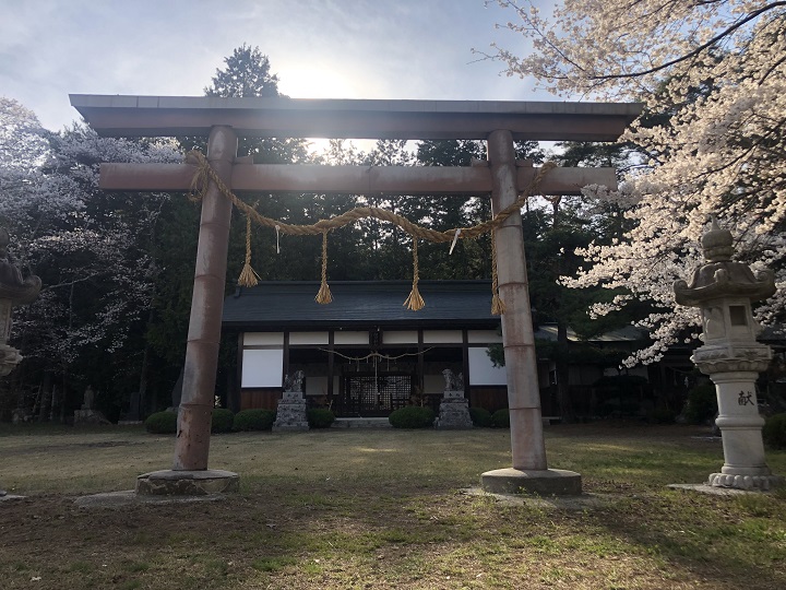 画像4