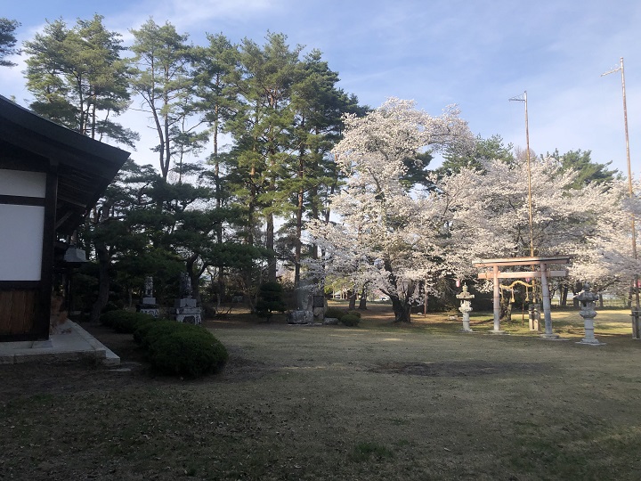 画像5