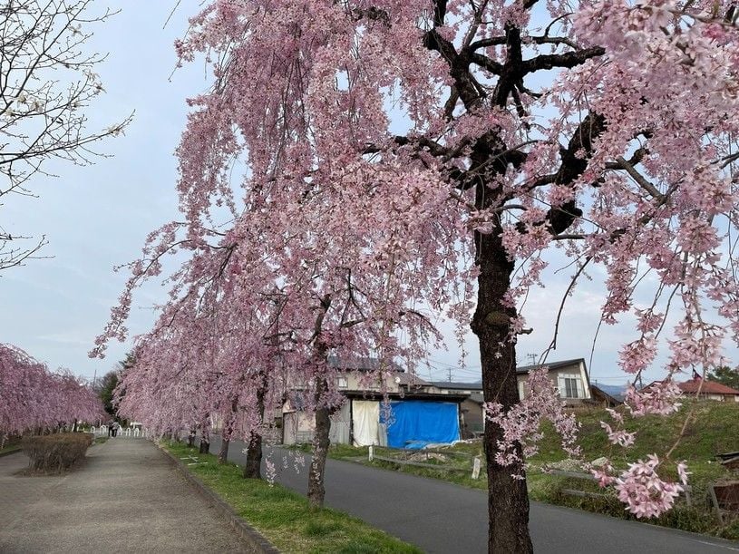 画像2