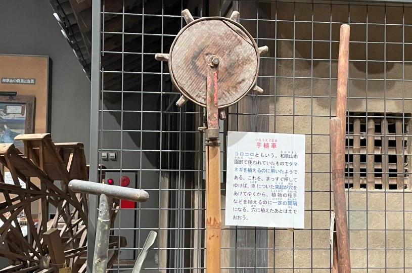 画像2