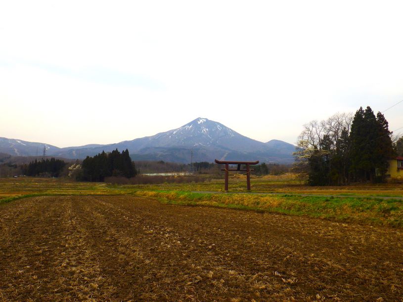 画像1