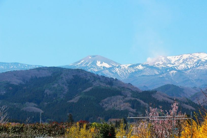 画像1
