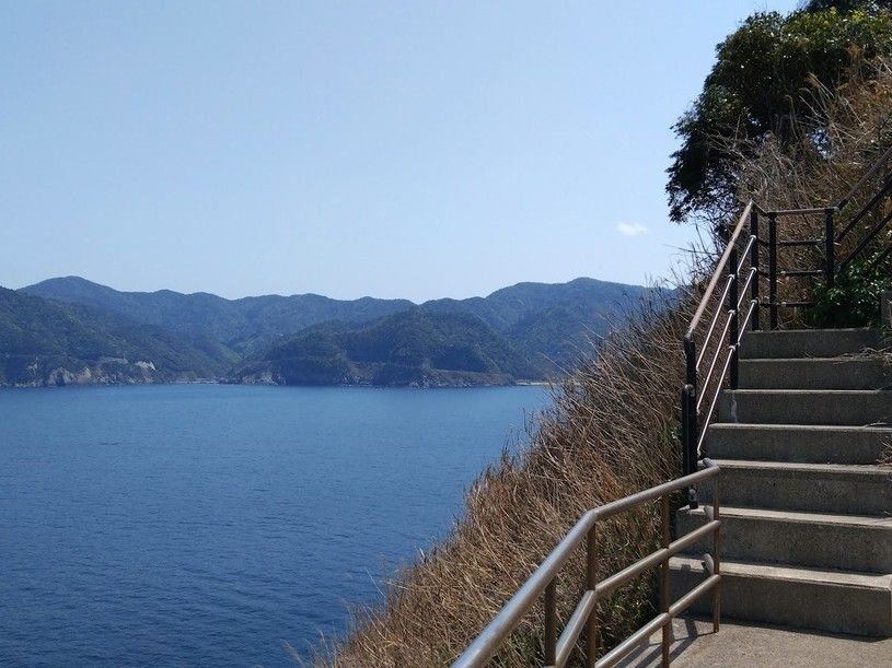 画像5